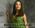 Smallville (20)