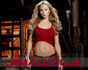 Smallville (21)