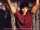 Tom Welling (13)