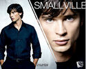 Tom Welling (33)