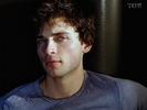 Tom Welling (42)