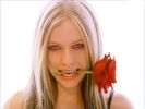 Avril Lavigne  (28)