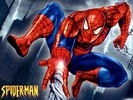 Spider-man (11)