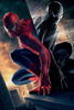 Spider-man (27)