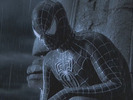 Spider-man (41)
