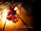 Spider-man 1 (14)