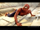 Spider-man 1 (17)