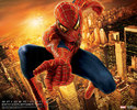 Spider-man 2 (8)