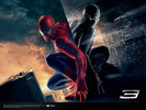 Spider-man 3 (20)