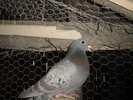 DSC01718