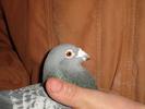 DSC01730