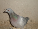 DSC01772