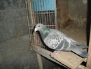 DSC01741