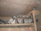 DSC01746