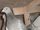 DSC01749