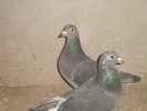 DSC01751