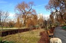 parc