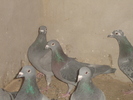 DSC01753