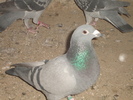 DSC01757