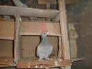 DSC01766