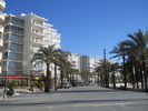 DSCN2317