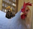 wrong_bird_deidara__O_by_SirLeaderPlushie