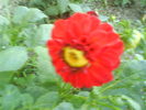 DSC02395