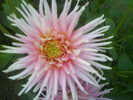 DSC02400
