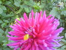 DSC03428