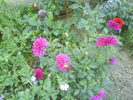 DSC03429