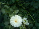 DSC03436