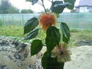 DSC03475