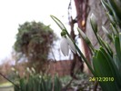 100_6064