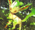 rr-leafeon[1]