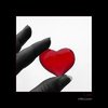 heart,love,photography,red-02c9e0fc25692f2498f806c8b82a9704_h