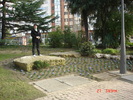 DSC01461