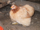 DSCN2005