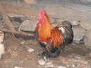DSCN2008