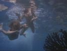 The-Blue-Lagoon-Laguna-albastra-26350,315455