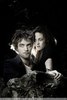 Twilight (23)