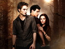 Twilight- New Moon- Eclipse (11)