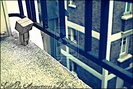 lonely_by_ataraxia11