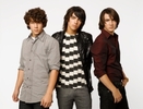 Jonas Brothers (35)