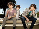 Jonas Brothers (51)