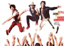 Jonas Brothers (30)