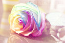 rainbow_rose_by_eliseenchanted-d34e8bu