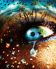 Epic_Eye_by_belez