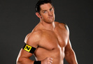 Wade Barrett wwe