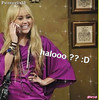 2-halooo--DPsiaczeekx33-2999