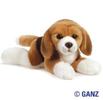 beaglesignature